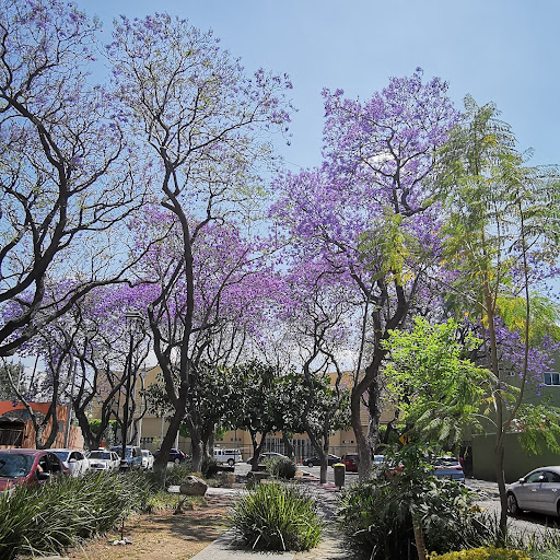 Fruteria González