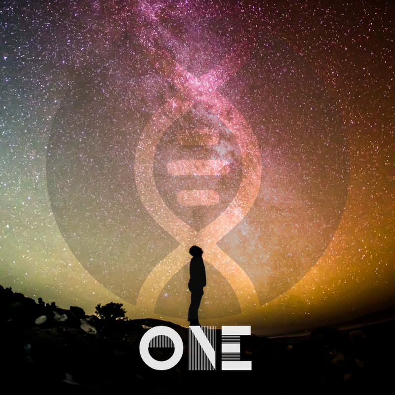 Network One