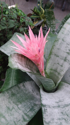 Department Store «Walmart Supercenter», reviews and photos, 21655 N Lake Pleasant Pkwy, Peoria, AZ 85382, USA