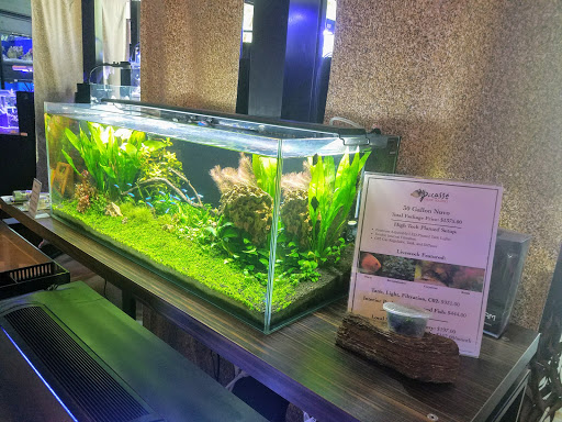 Tropical Fish Store «Picasso Exotic Aquatics», reviews and photos, 11560 Ash St, Leawood, KS 66211, USA
