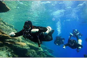 MS-diving / Škola potápění image