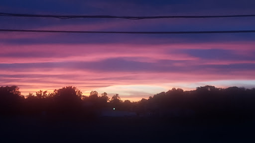 Produce Market «Stella Farms», reviews and photos, 459 Berlin New Freedom Rd, Berlin, NJ 08009, USA