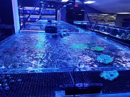 Tropical Fish Store «Ultimate Reefs & Aquariums», reviews and photos, 6020 S Memorial Dr, Tulsa, OK 74145, USA