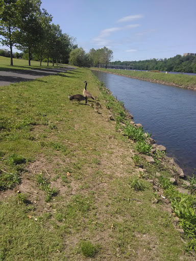 Grocery Store «Bravo Supermarkets», reviews and photos, 275 George St, New Brunswick, NJ 08901, USA