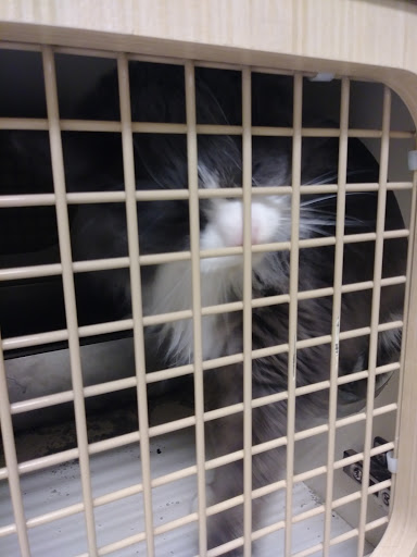 Pet Supply Store «Petco Animal Supplies», reviews and photos, 179 N Milwaukee St, Boise, ID 83704, USA