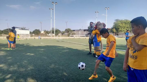 Academia futbol tigres cedereg