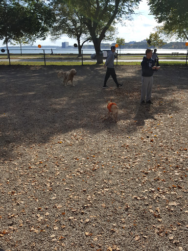 Dog Park «South Boston Bark Park», reviews and photos, 1280 Columbia Rd, Boston, MA 02127, USA