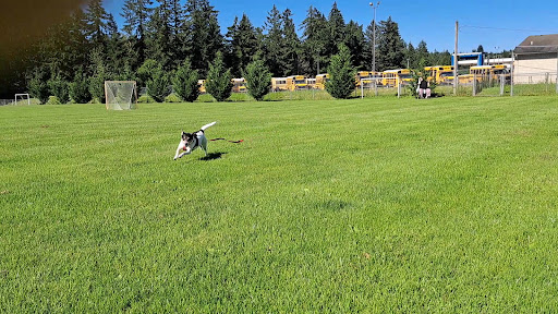 American Football Field «Doc Harris Stadium», reviews and photos, 1125 NE 22nd Ave, Camas, WA 98607, USA