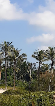 Foto MA  Al Mukarramah Muara Jawa, Kabupaten Kutai Kartanegara