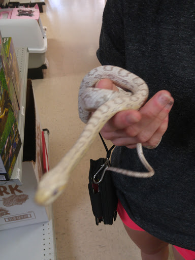 Pet Store «Everything Pet», reviews and photos, 3616 N Fry Rd, Katy, TX 77449, USA