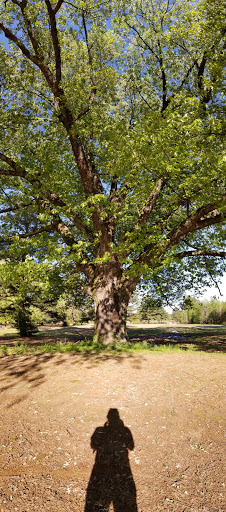 Golf Shop «Pine Valley Golf Course», reviews and photos, 9311 Old Tom Box Rd, Sherwood, AR 72120, USA