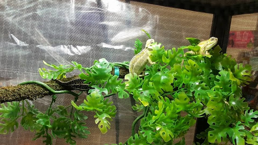 Pet Store «Liberty Agway Pet Center», reviews and photos, 11 Bon Jovi Ln, Liberty, NY 12754, USA