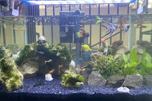 Uncle's Aquarium image