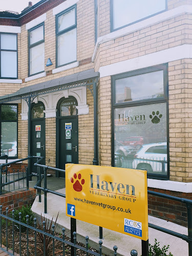 Haven Veterinary Group, Hull - Hull