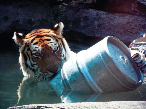 Park «Jester Park», reviews and photos, 11407 Northwest Jester Park Drive, Granger, IA 50109, USA