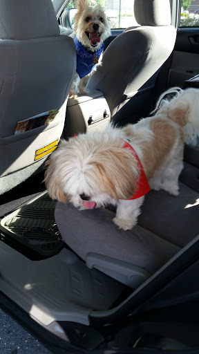 Pet Supply Store «PetSmart», reviews and photos, 4180 US-1, Monmouth Junction, NJ 08852, USA