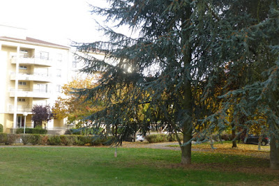 Appartement gite Anne de Méjanes à Metz