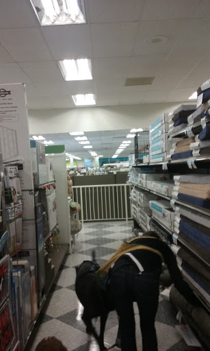 Pet Supply Store «Petco Animal Supplies», reviews and photos, 1203 SE Everett Mall Way f, Everett, WA 98208, USA