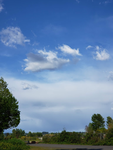 Park «Hogan Park», reviews and photos, 24400 Russell Rd, Kent, WA 98032, USA