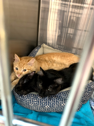 Pet Supply Store «PetSmart», reviews and photos, 10329 S State St, Sandy, UT 84070, USA