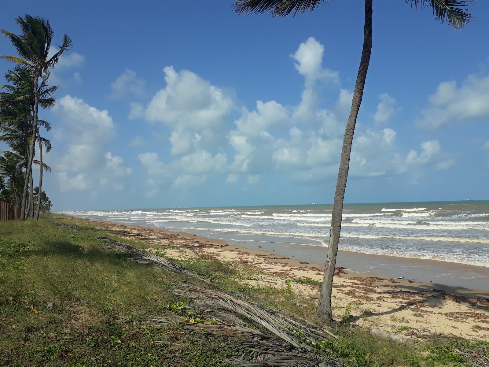 Foto av Praia de Atalaia Nova med hög nivå av renlighet