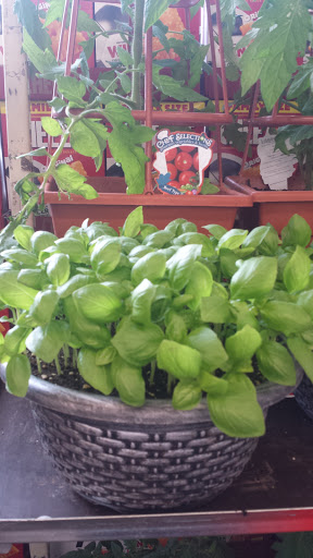 Grocery Store «Price Rite of York», reviews and photos, 2142 S Queen St, York, PA 17403, USA