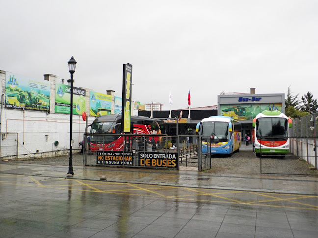 Opiniones de Bus-Sur en Punta Arenas - Servicio de transporte