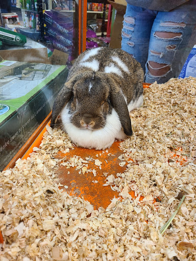 Pet Store «Something Fishy Pets», reviews and photos, 29 Towne Centre Ln, Fox Lake, IL 60020, USA