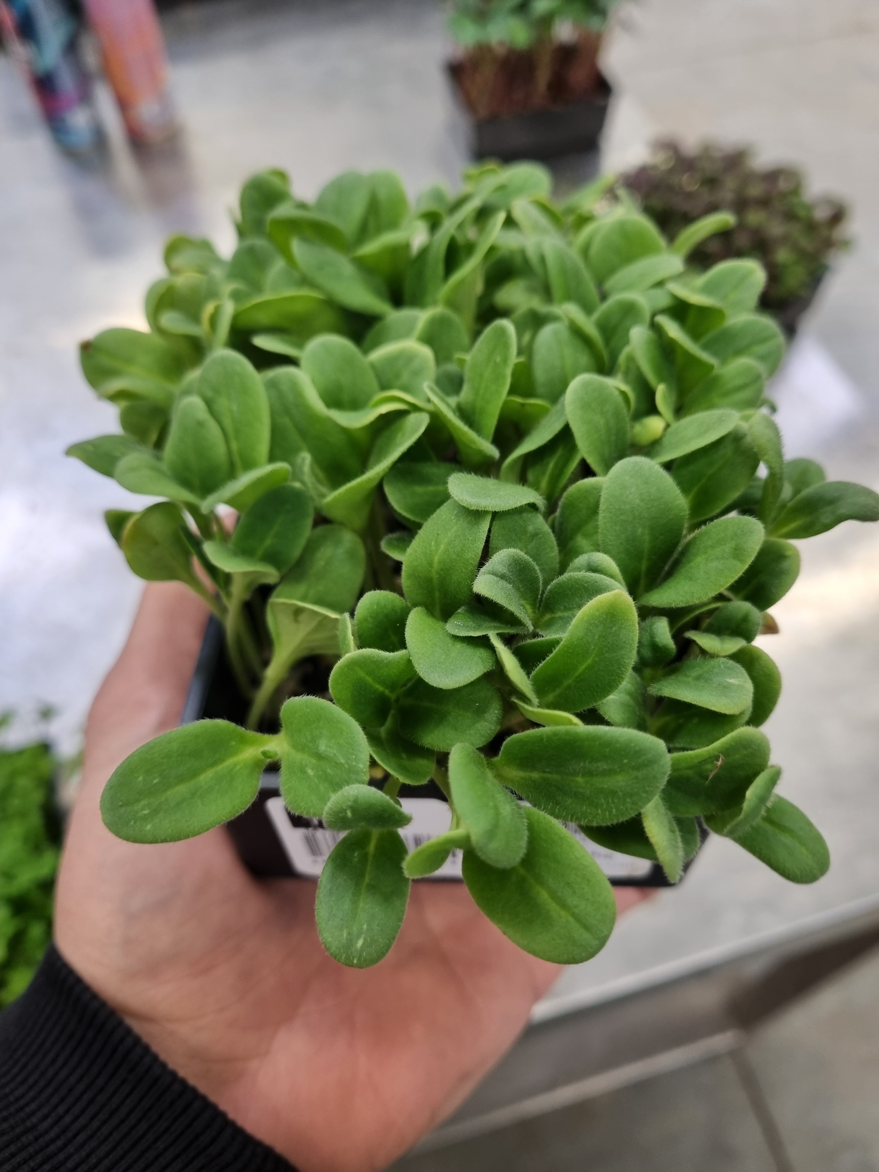 Photo n° 3 de l'avis de Yan.e fait le 23/04/2024 à 03:40