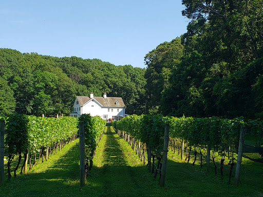 Vineyard «Harmony Vineyards», reviews and photos, 169 Harbor Rd, St James, NY 11780, USA