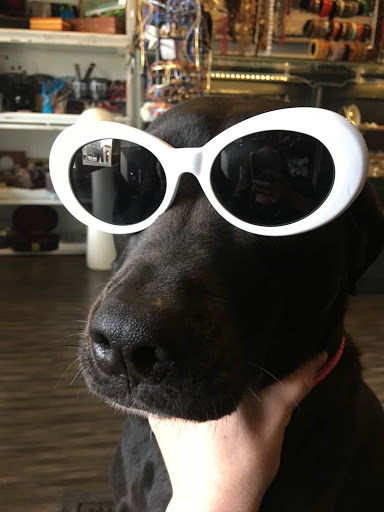 Boutique «Clash Gallery & Boutique», reviews and photos, 521 E 5th St, Dayton, OH 45402, USA