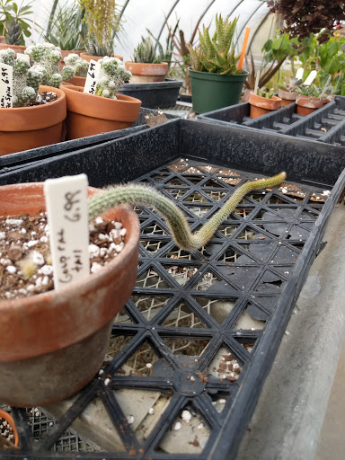 Lohmans Greenhouse & Feed Store image 3