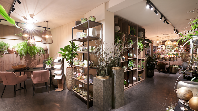 Rezensionen über FLORA Weinfelden in Amriswil - Blumengeschäft
