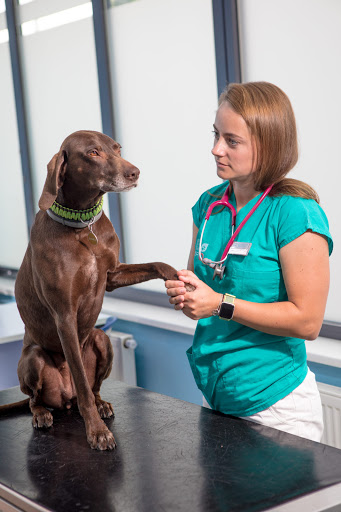 Veterinární klinika Anima, spol. s r.o.