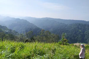 Wisata Bukit Lengkeng image