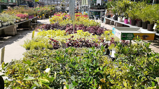 Home Improvement Store «The Home Depot», reviews and photos, 320 Bridgeton Pike, Mantua Township, NJ 08051, USA