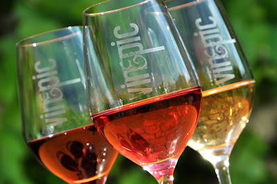 VIN & PIC, production & vente de vins Loire (42), viticulteur Forez à Boisset-Saint-Priest