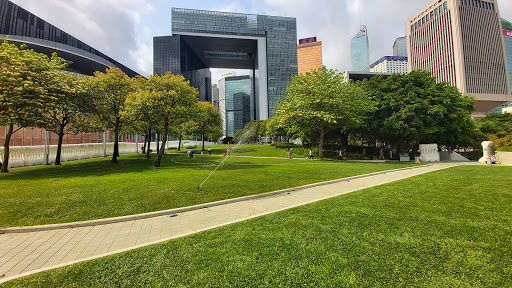 Artificial grass installation Hong Kong