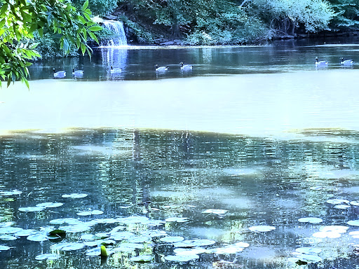 Nature Preserve «Winkler Botanical Preserve», reviews and photos, 5400 Roanoke Ave, Alexandria, VA 22311, USA