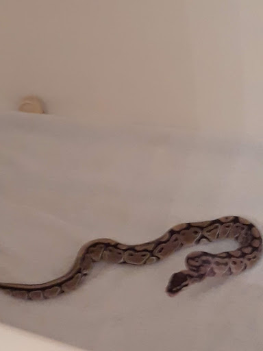 Tropical Fish Store «Pet World», reviews and photos, 3350 US-1, St Augustine, FL 32086, USA