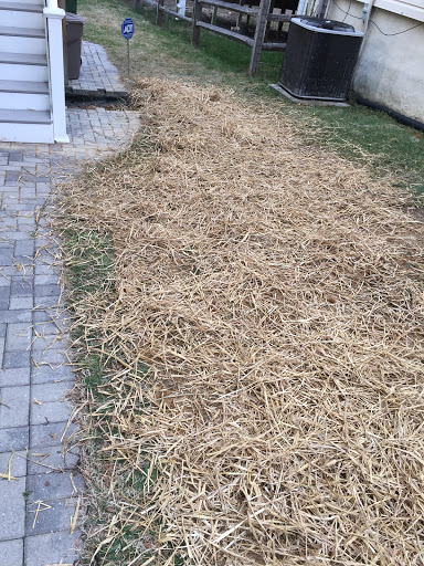 Plumber «Roto-Rooter Plumbing & Drain Services», reviews and photos, 812 W Patapsco Ave i, Baltimore, MD 21230, USA