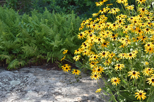 Museum «The Havre de Grace Maritime Museum», reviews and photos, 100 Lafayette St, Havre De Grace, MD 21078, USA