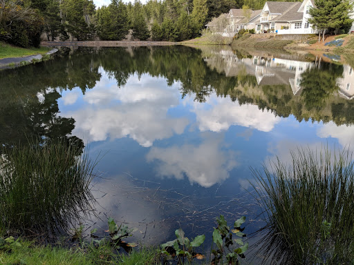 Golf Course «Ocean Dunes Golf Links», reviews and photos, 3345 Munsel Lake Rd, Florence, OR 97439, USA