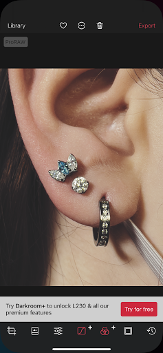 Explore tattoo ideas alice in wonderland, creative tattoo ideas in Waterbury, available at Jay Makes Holes