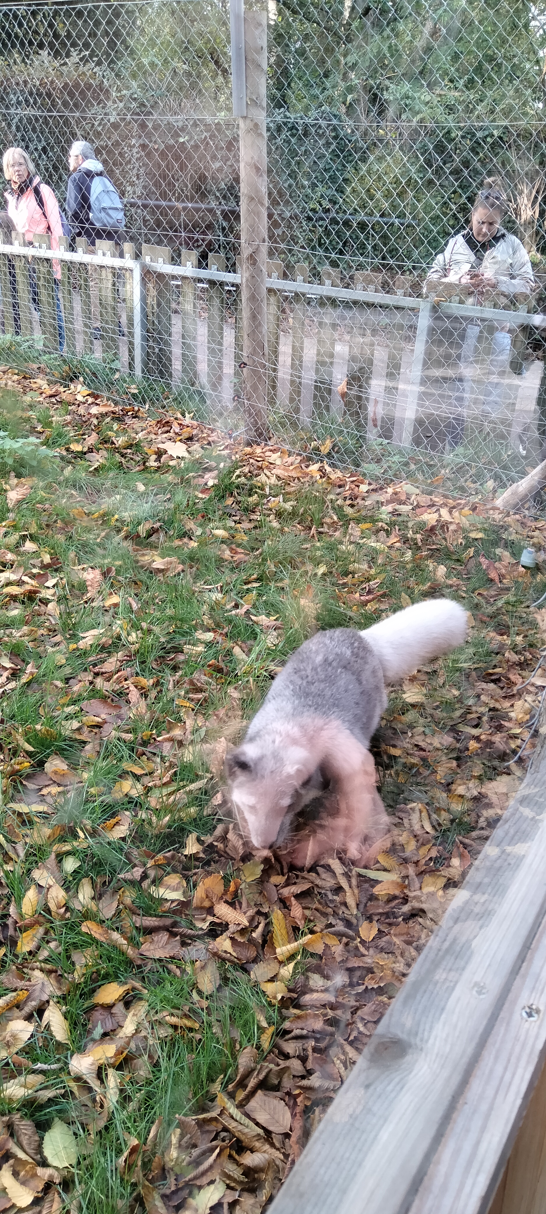 Photo n° 9 de l'avis de Sylvie.U fait le 07/11/2022 à 08:33