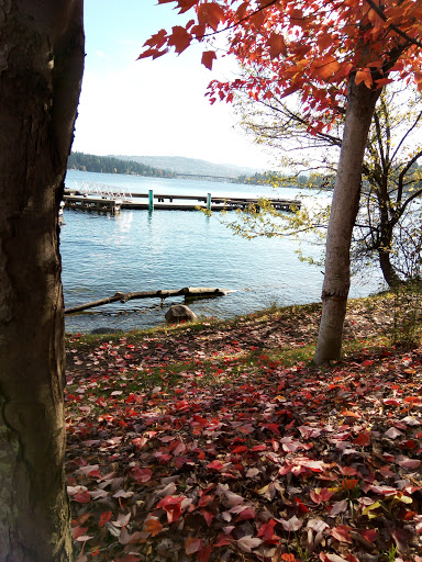 Park «Luther Burbank Park», reviews and photos, 2040 84th Ave SE, Mercer Island, WA 98040, USA