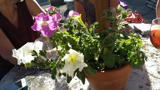 Vineyard «Anderson vineyard & Winery Inc», reviews and photos, 430 US-6, Valparaiso, IN 46383, USA