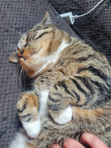 Tobacco Shop «Smoke Break Huka Outlet», reviews and photos, 420 E 300 S, Salt Lake City, UT 84111, USA