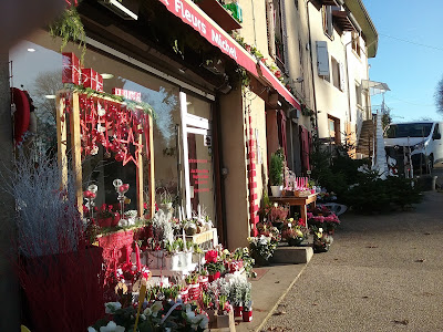 Aux Fleurs Michel à Saint-Amour