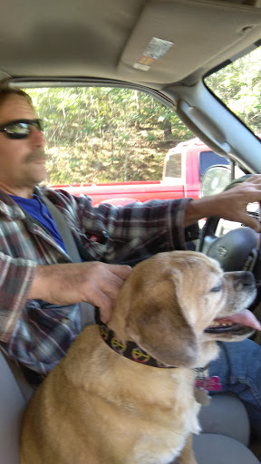 Campground «Bay View Campground», reviews and photos, 260 MacArthur Blvd, Bourne, MA 02532, USA